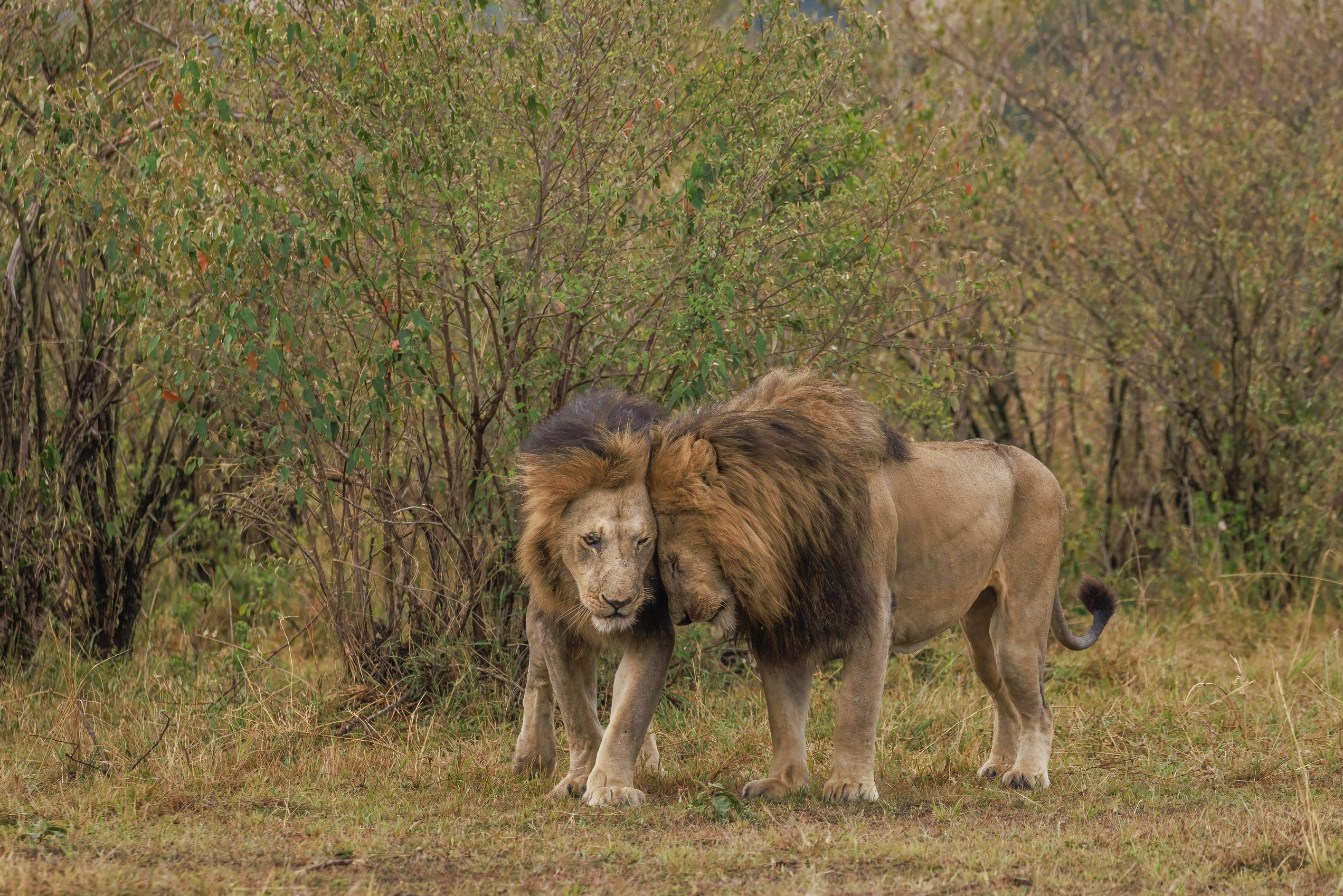 November 13, 2022-070353-Edit.jpg